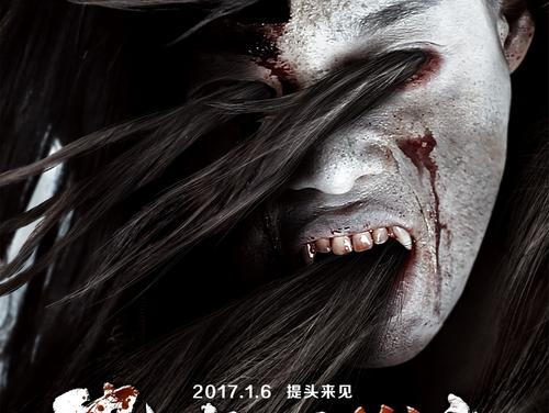 国际驾照能开什么车